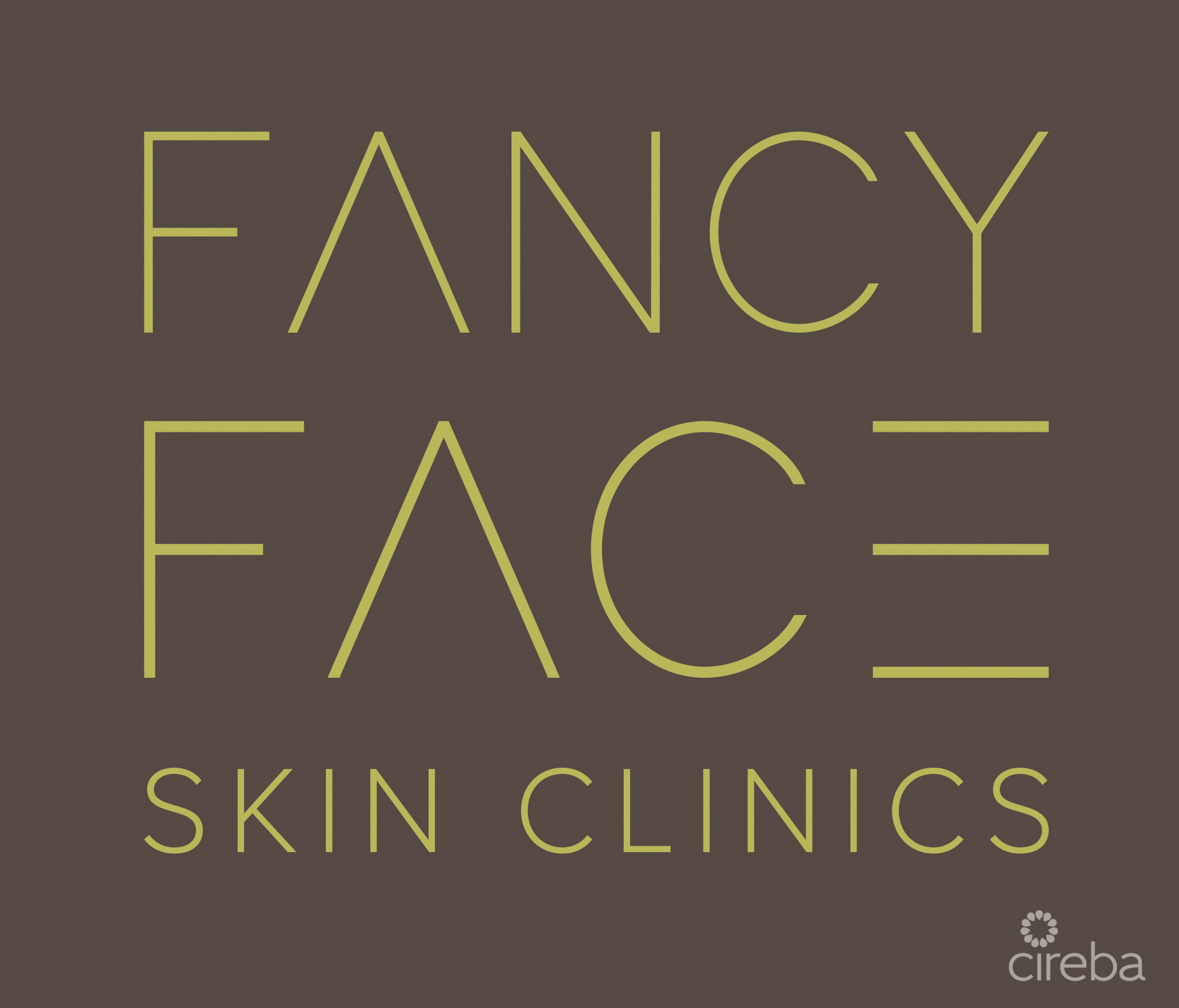 FANCY FACE SKIN CLINIC- BRAND, ASSETS & EQUIPMENT