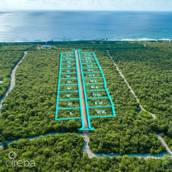 CAYMAN BRAC BLUFF (ISABELLA ESTATES  LOT # 20)