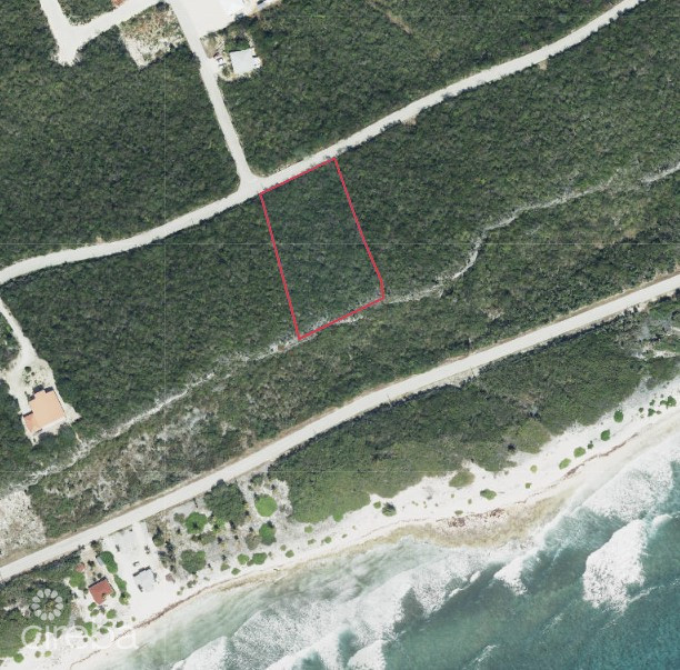 CAYMAN BRAC BLUFF EDGE TWO