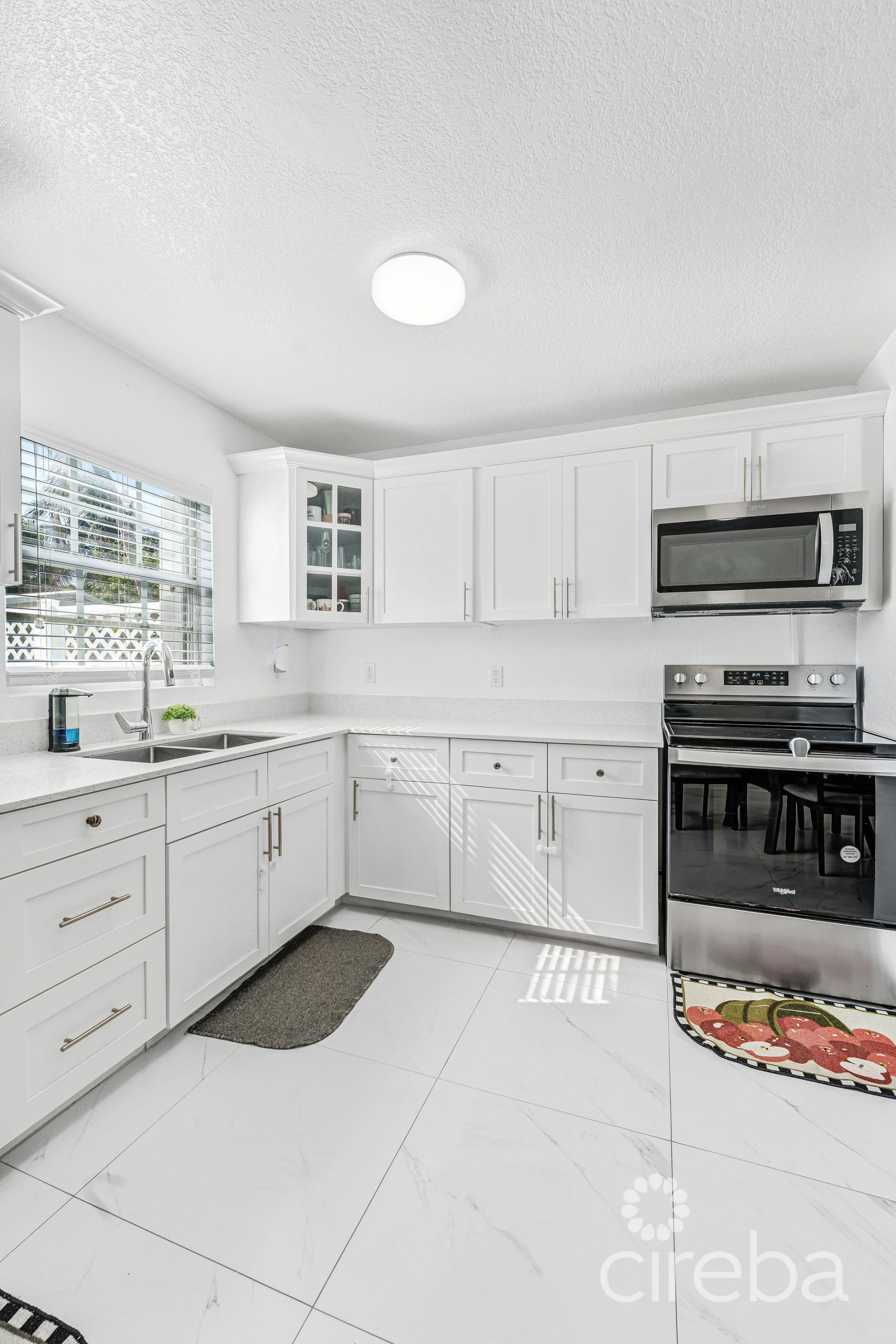 SPRINGFIELD COURTS - 2 BR 2.5 BATH - NEWLY REMODLED - PRISTINE INTERIOR AND FANTASTIC LOCATION!