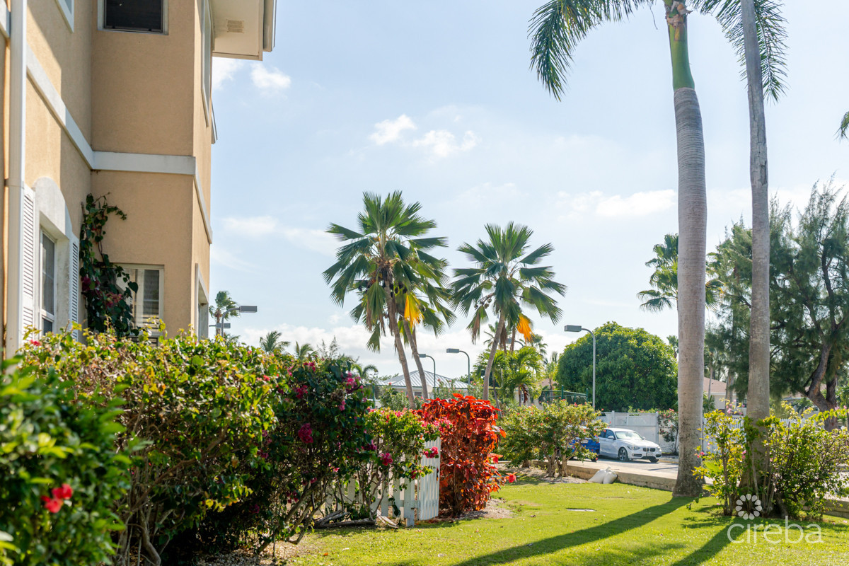 SOUTHAMPTON GARDENS #1