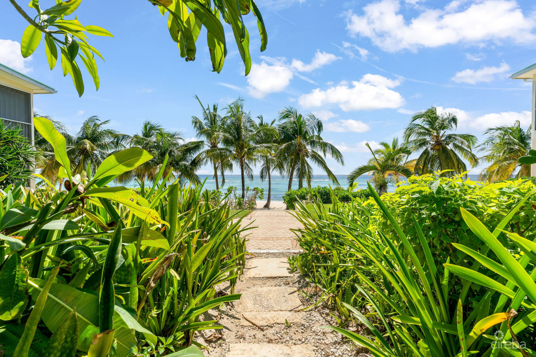 SUPERB VALUE AND VIEWS ON SPOTTS BEACH - 15 CORAL BAY VILLAGE