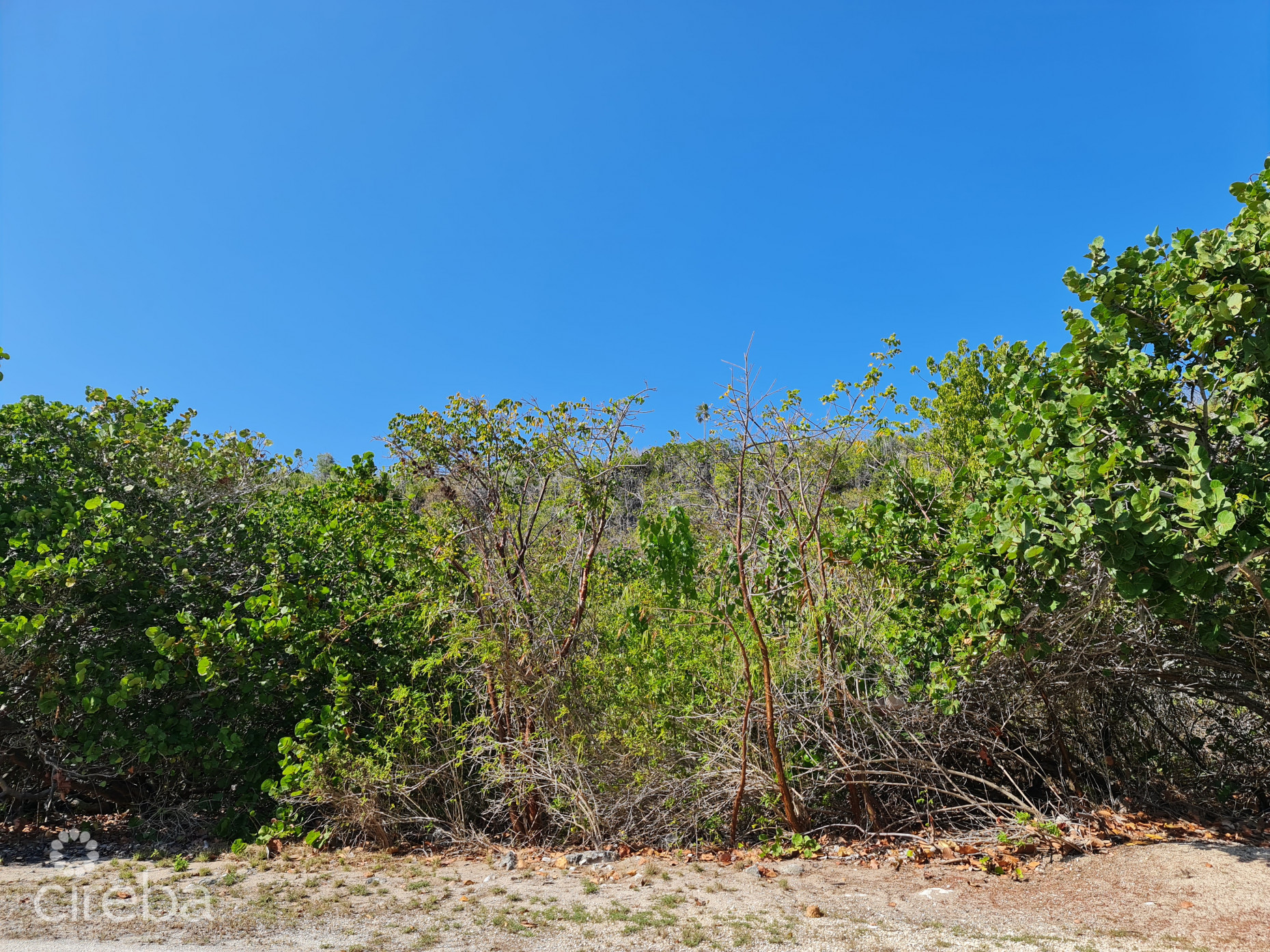 OCEANFRONT VACANT LAND