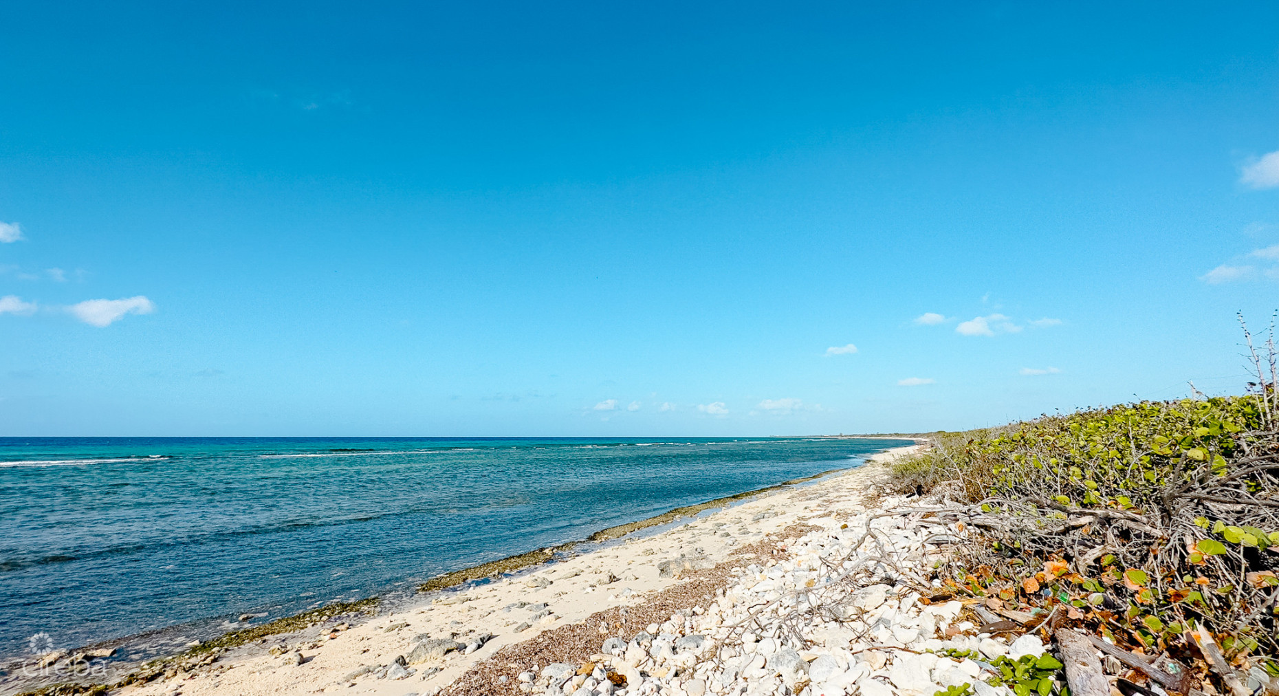 OCEANFRONT LAND LITTLE CAYMAN 