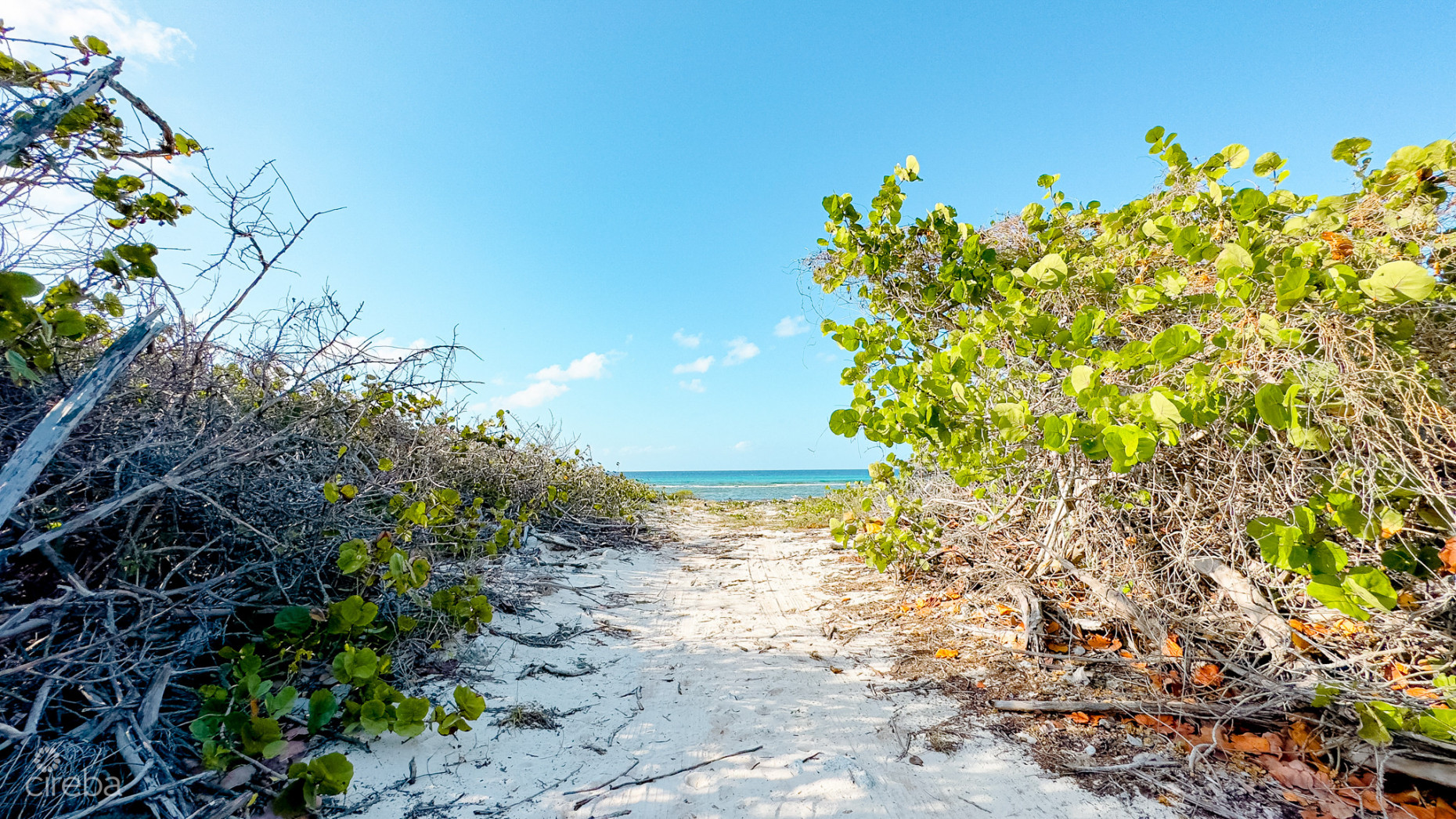 OCEANFRONT LAND LITTLE CAYMAN 