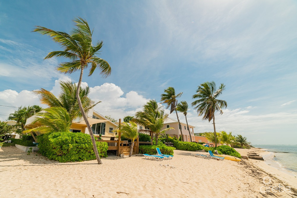 CARIBBEAN PARADISE 2