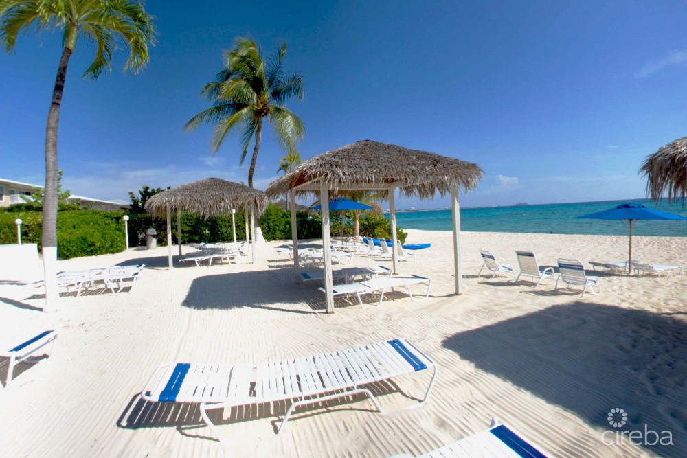 DISCOVERY POINT CLUB