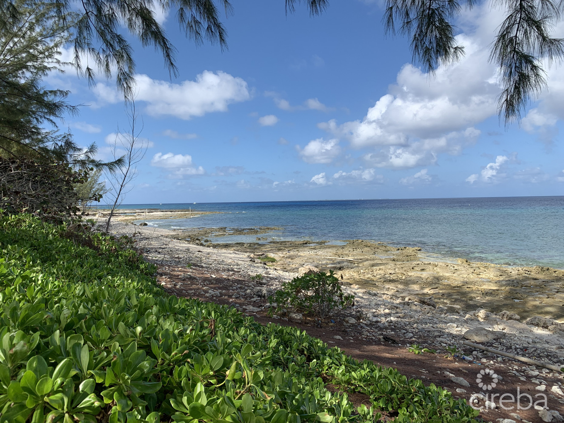 MR. V'S POSTO AL SOLE