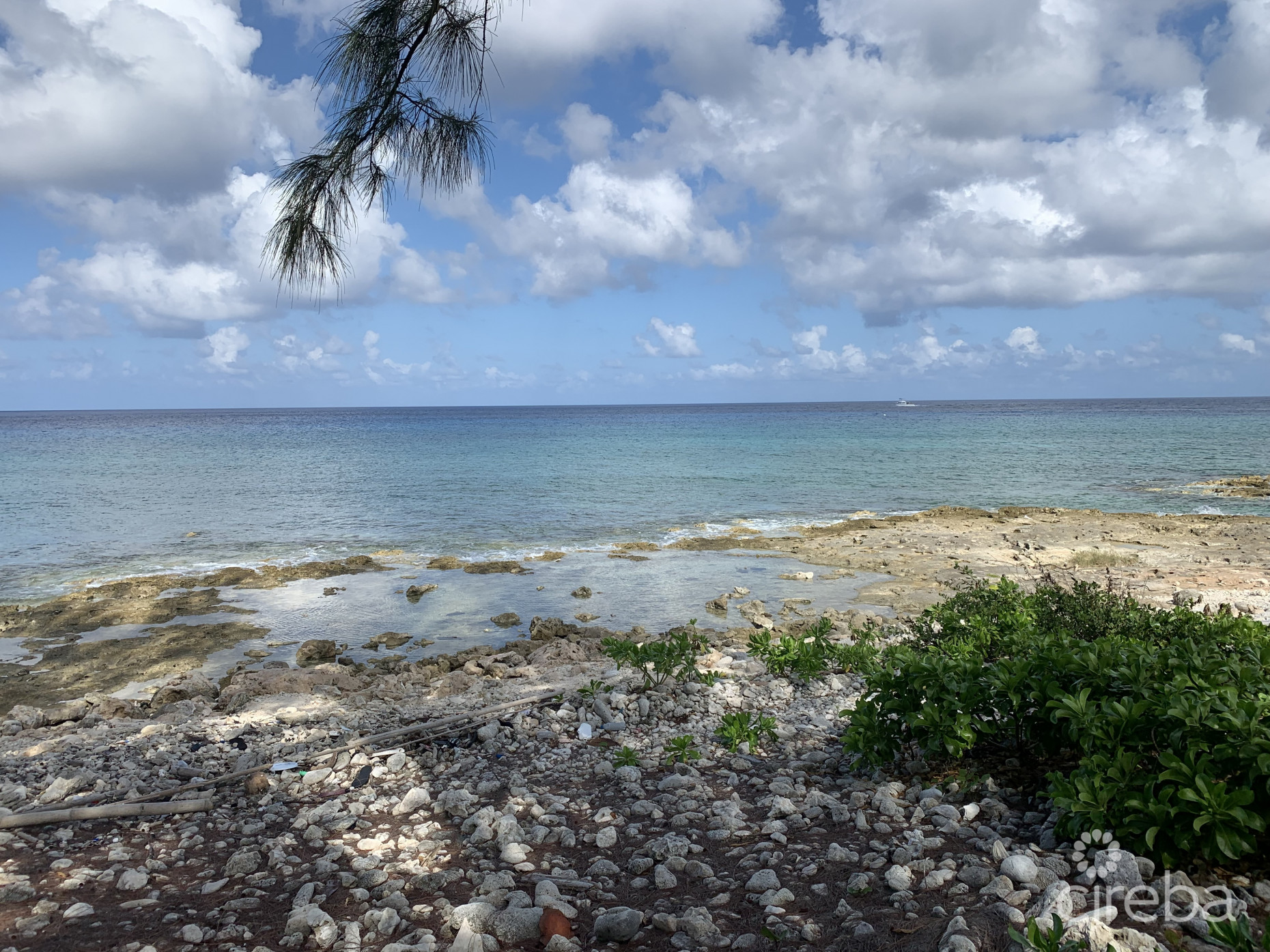 MR. V'S POSTO AL SOLE