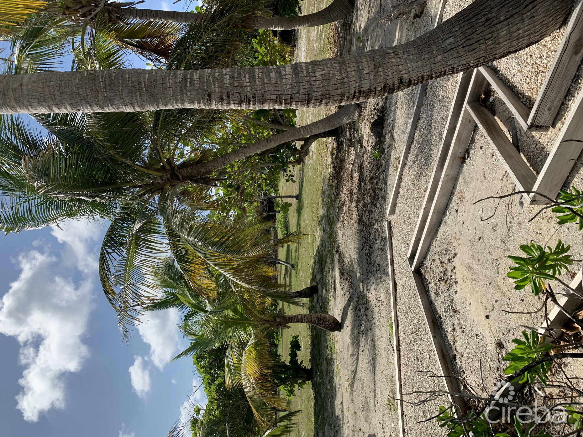 MR. V'S POSTO AL SOLE