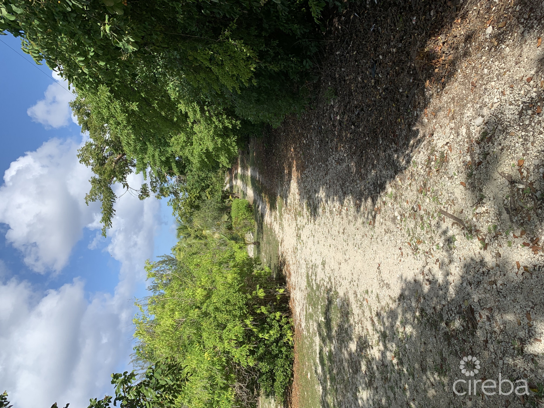 MR. V'S POSTO AL SOLE