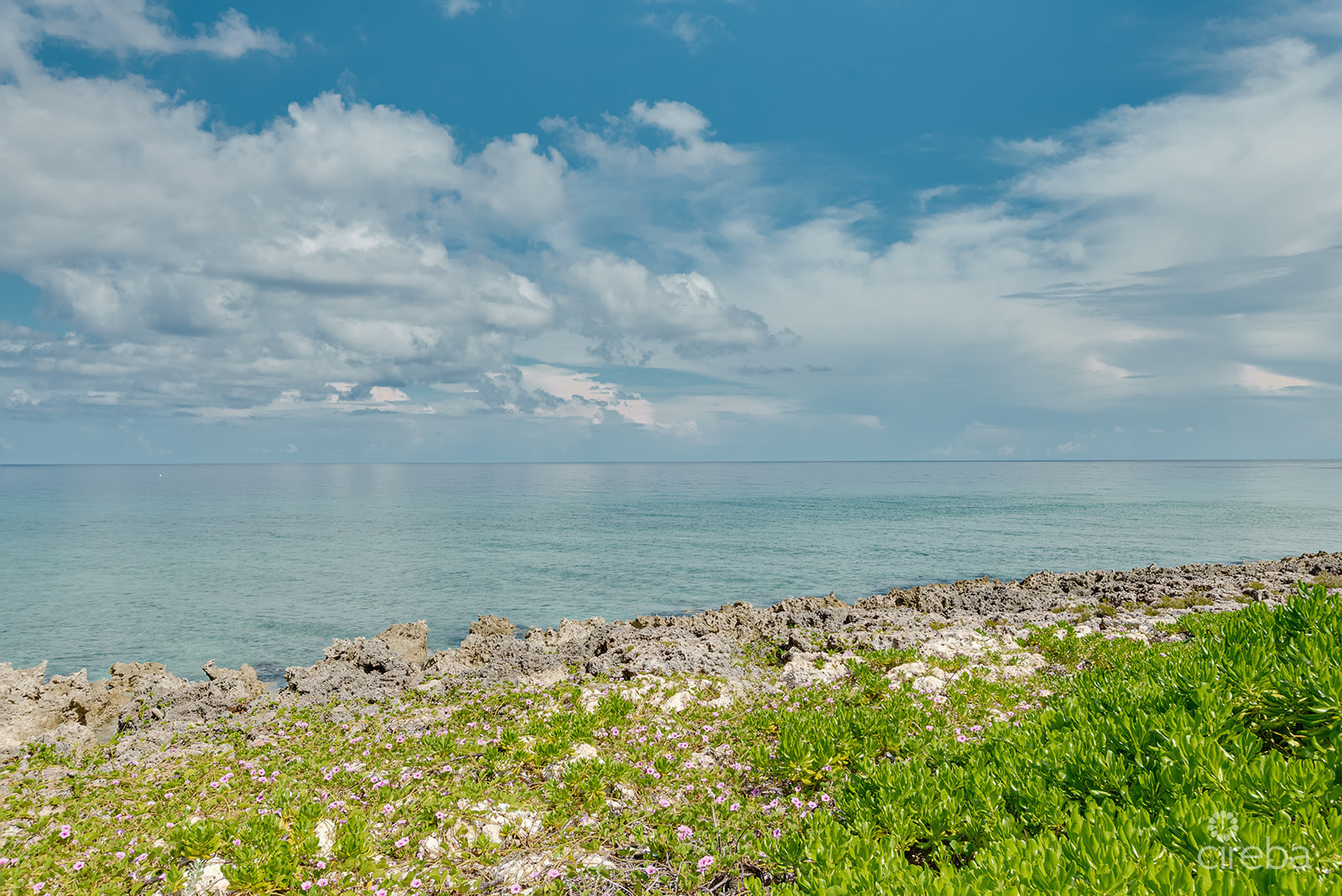 #49 OCEAN POINTE VILLAS