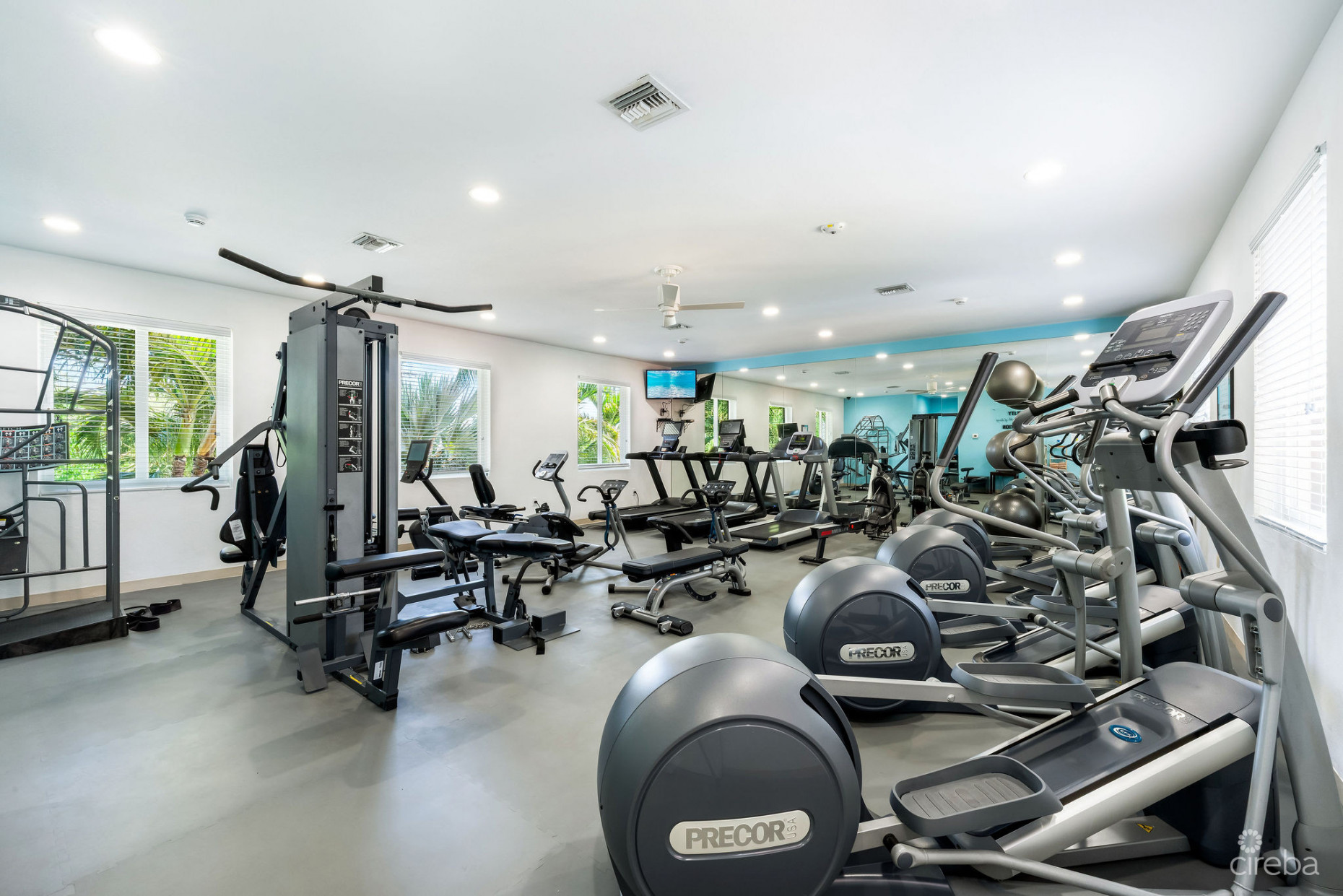 THE RENAISSANCE VILLA 25 - SEVEN MILE BEACH