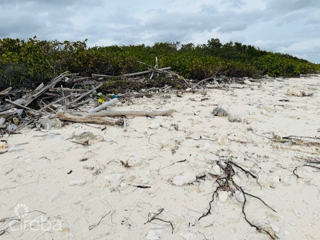 BEACHFRONT LAND LITTLE CAYMAN