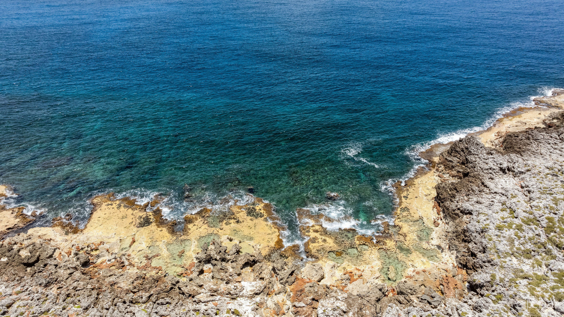 SAVANNAH OCEANFRONT 3 ACRE ESTATE