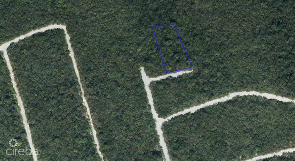 SELWORTHY GROVE    CAYMAN BRAC (LARGE  .37 ACRE LOT)