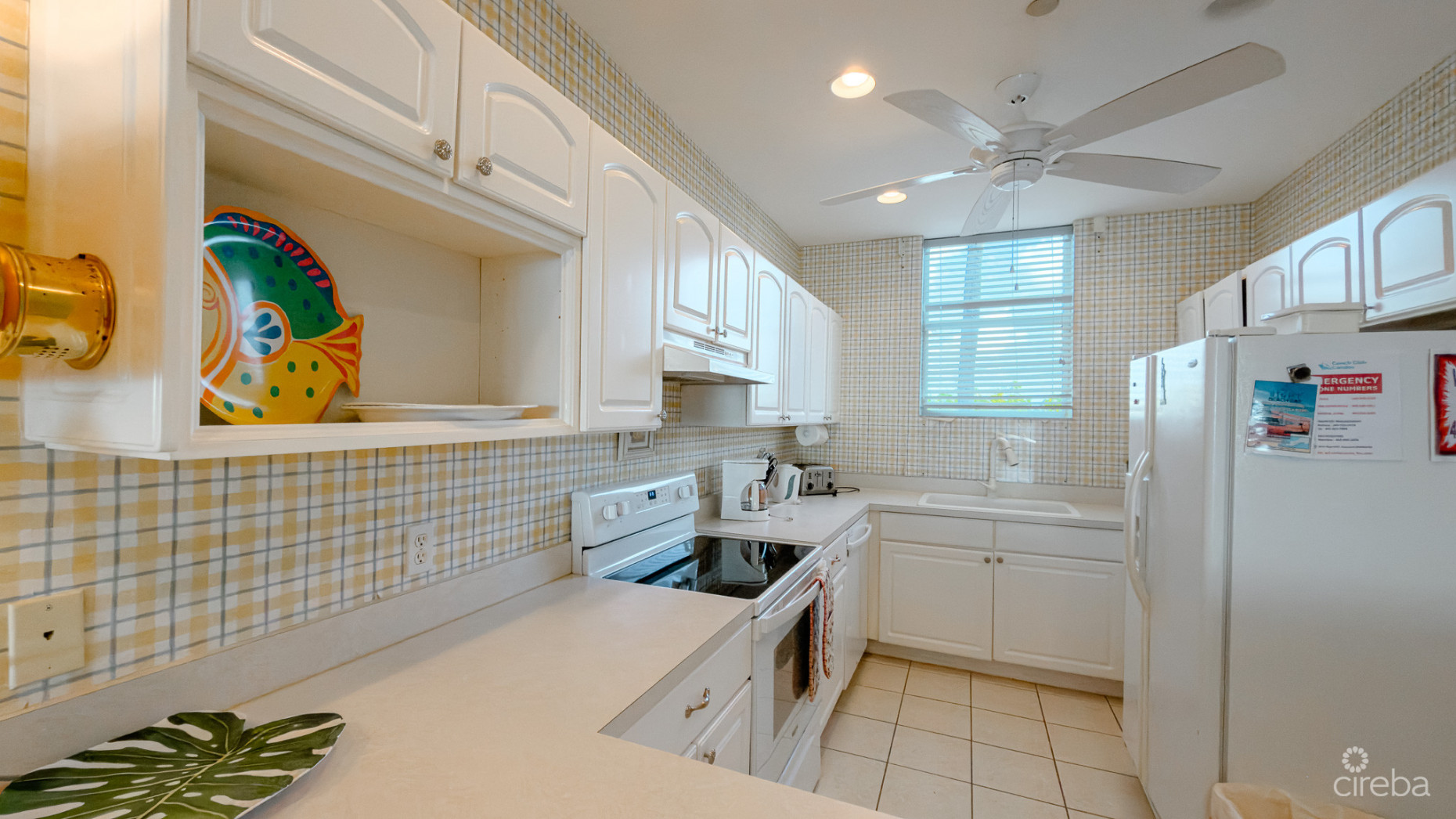 CONCH CLUB CONDO LITTLE CAYMAN