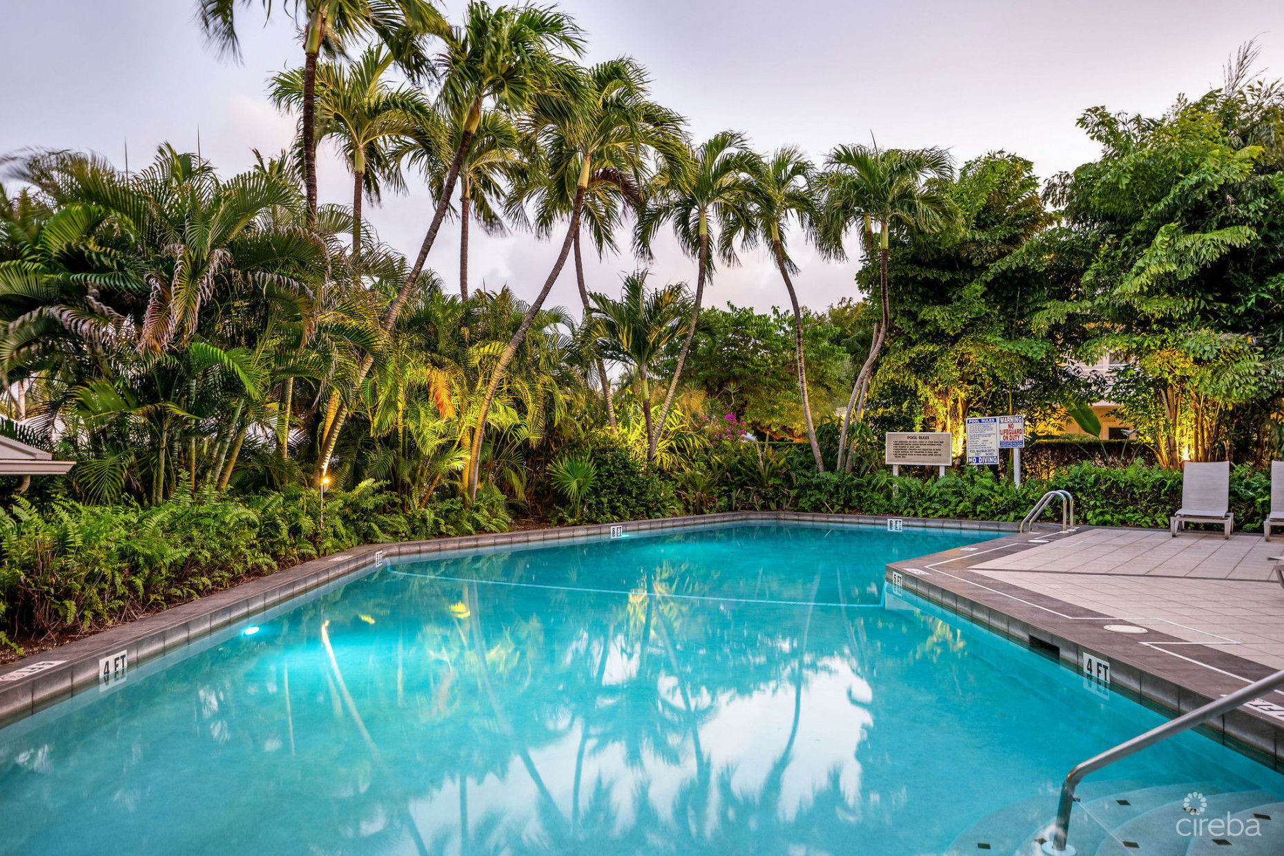 BEACHFRONT BLISS AT CAYMAN CLUB | SEVEN MILE BEACH