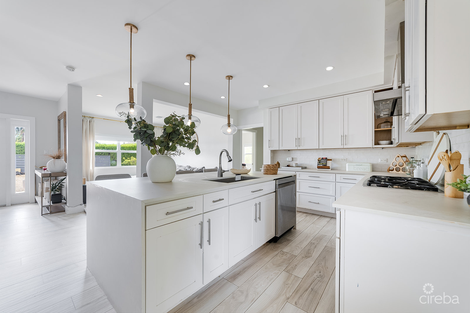 ELEVATED, 6-BEDROOM  SINGLE FAMILY HOME ON A MASSIVE PARCEL