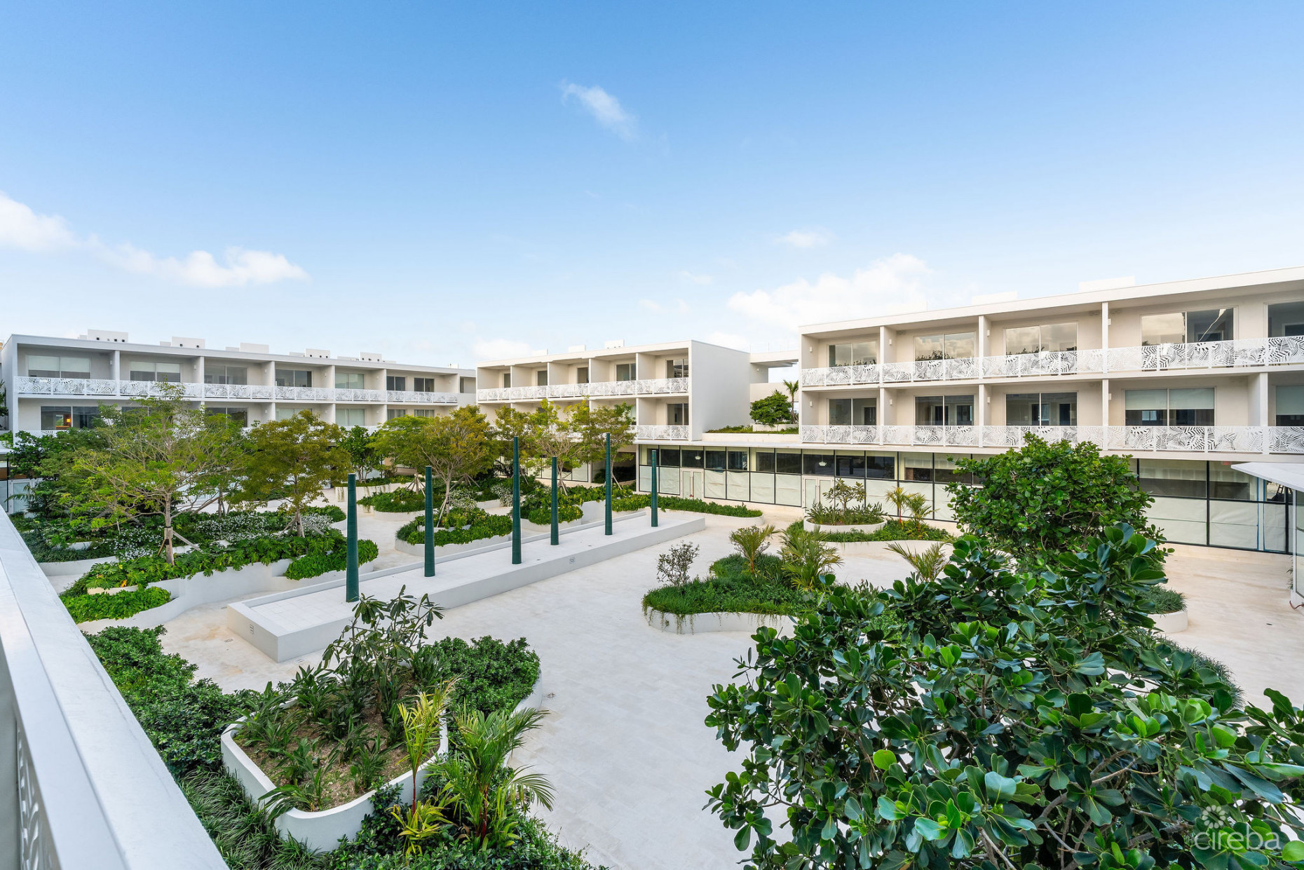 SOLACE AT THE GROVE TOO | SEVEN MILE CORRIDOR