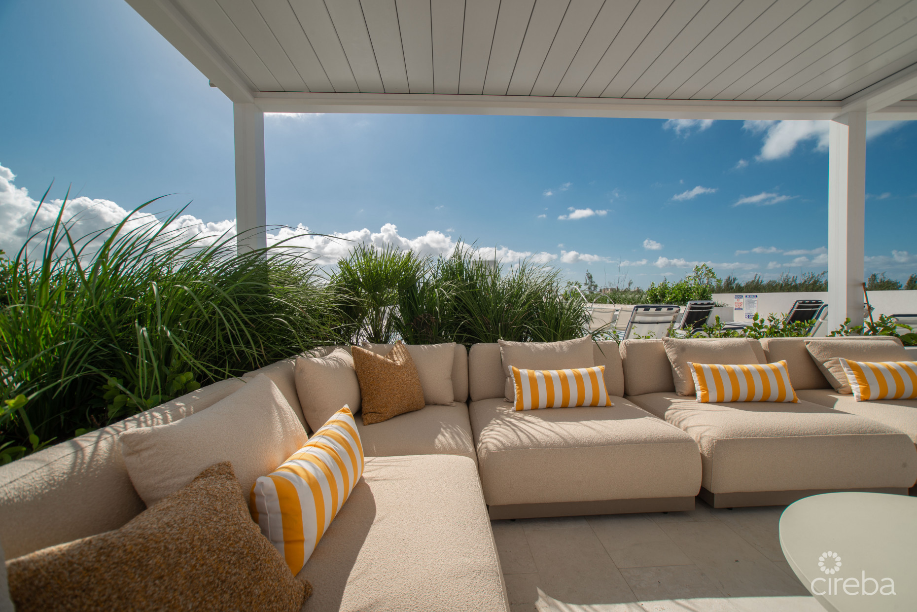 SOLACE AT THE GROVE TOO | SEVEN MILE CORRIDOR