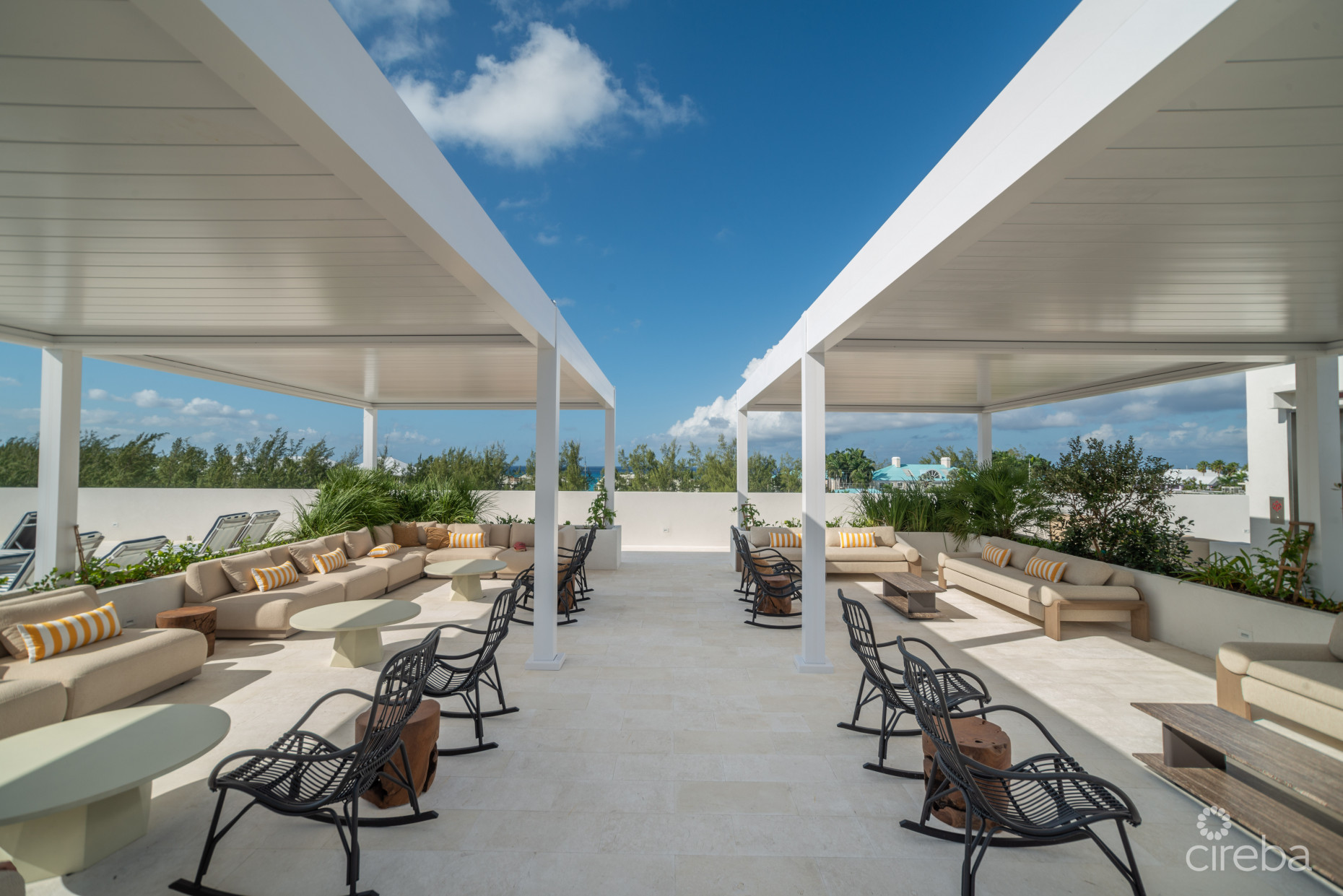 SOLACE AT THE GROVE TOO | SEVEN MILE CORRIDOR