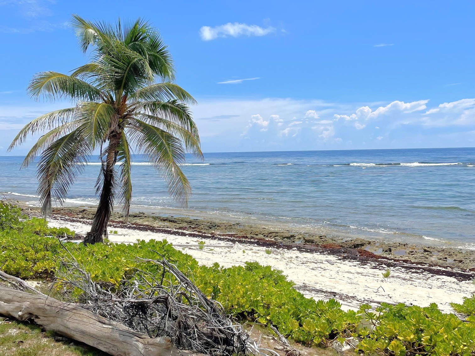 Manse Road - Oceanfront Home