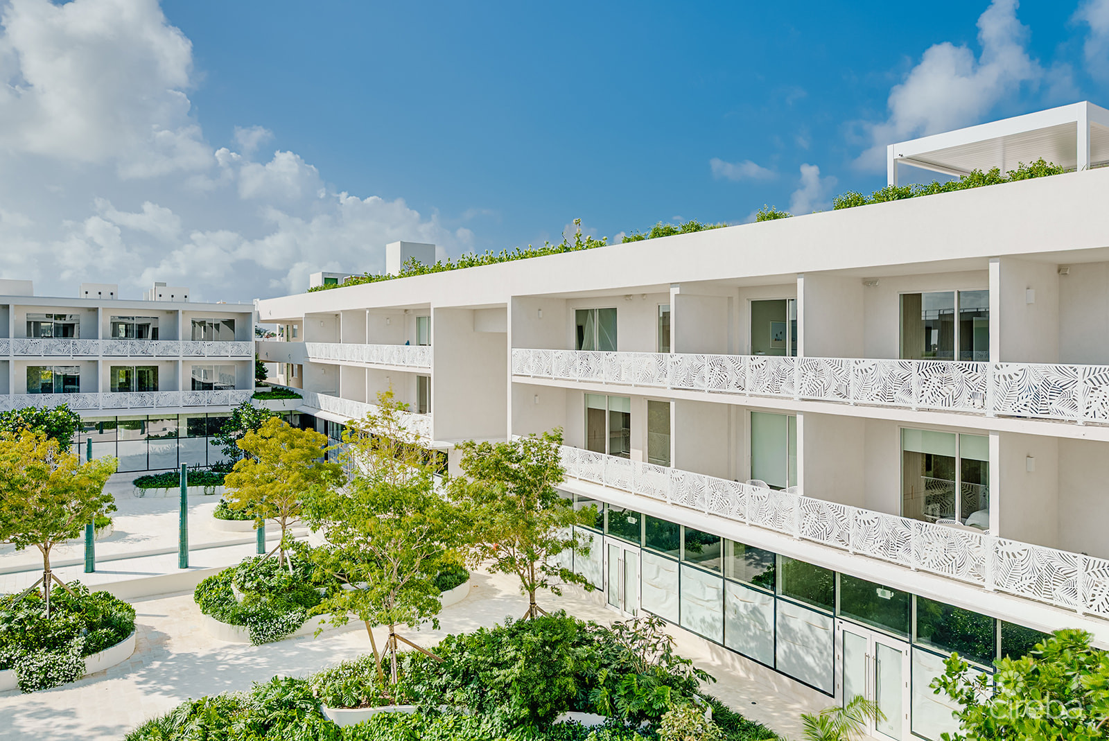 THE GROVE TOO - UNIT 53