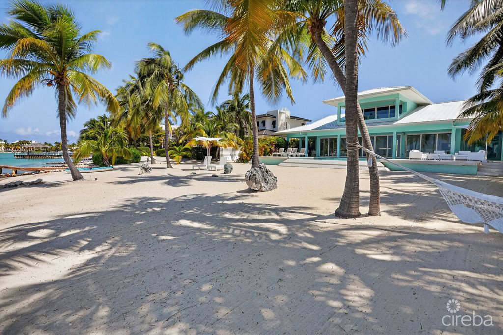 KOOL KAI, CAYMAN KAI