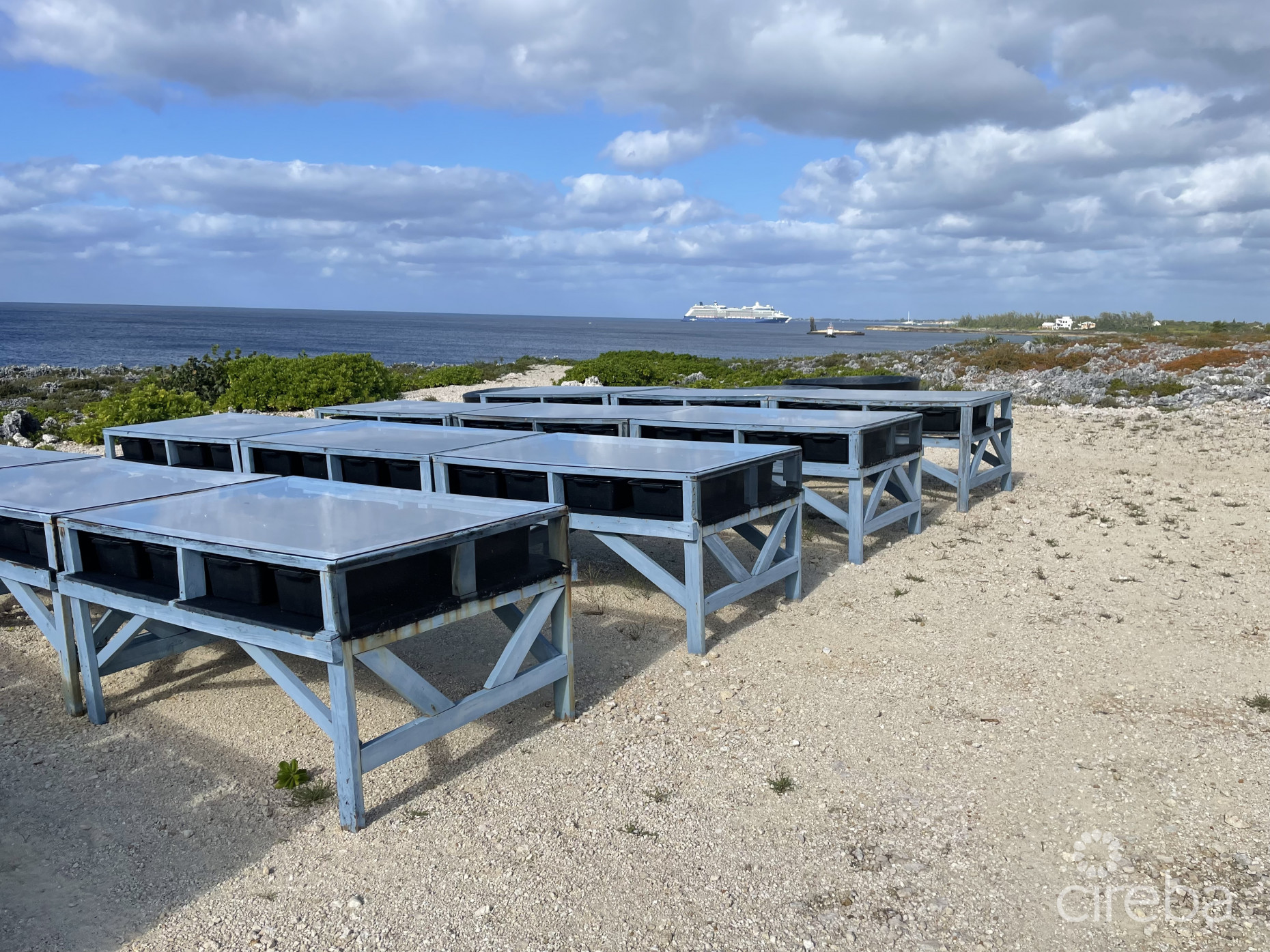 CAYMAN SEA SALT & CAYMAN COOKIE COMPANY (BUSINESS)