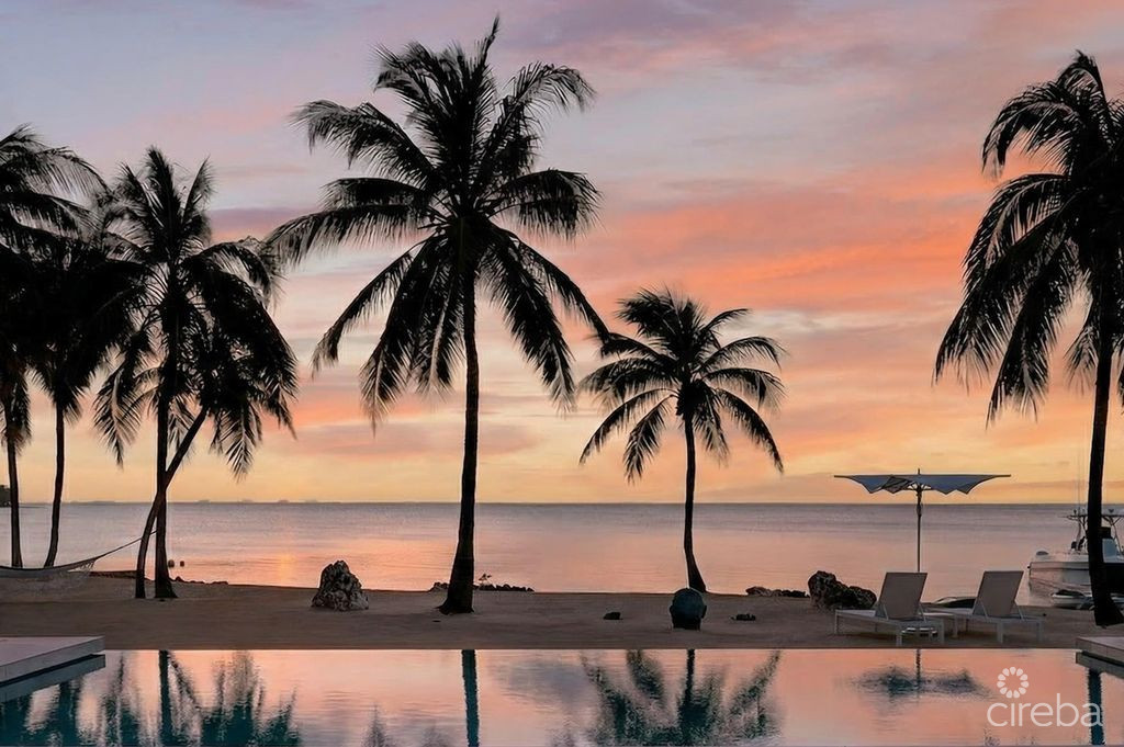 KOOL KAI, CAYMAN KAI