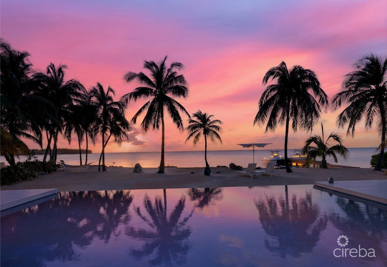 KOOL KAI, CAYMAN KAI