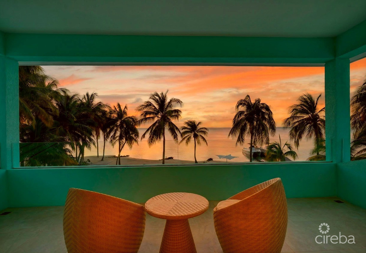 KOOL KAI, CAYMAN KAI