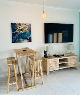 One Bedroom Canal Front Condo With Balcony