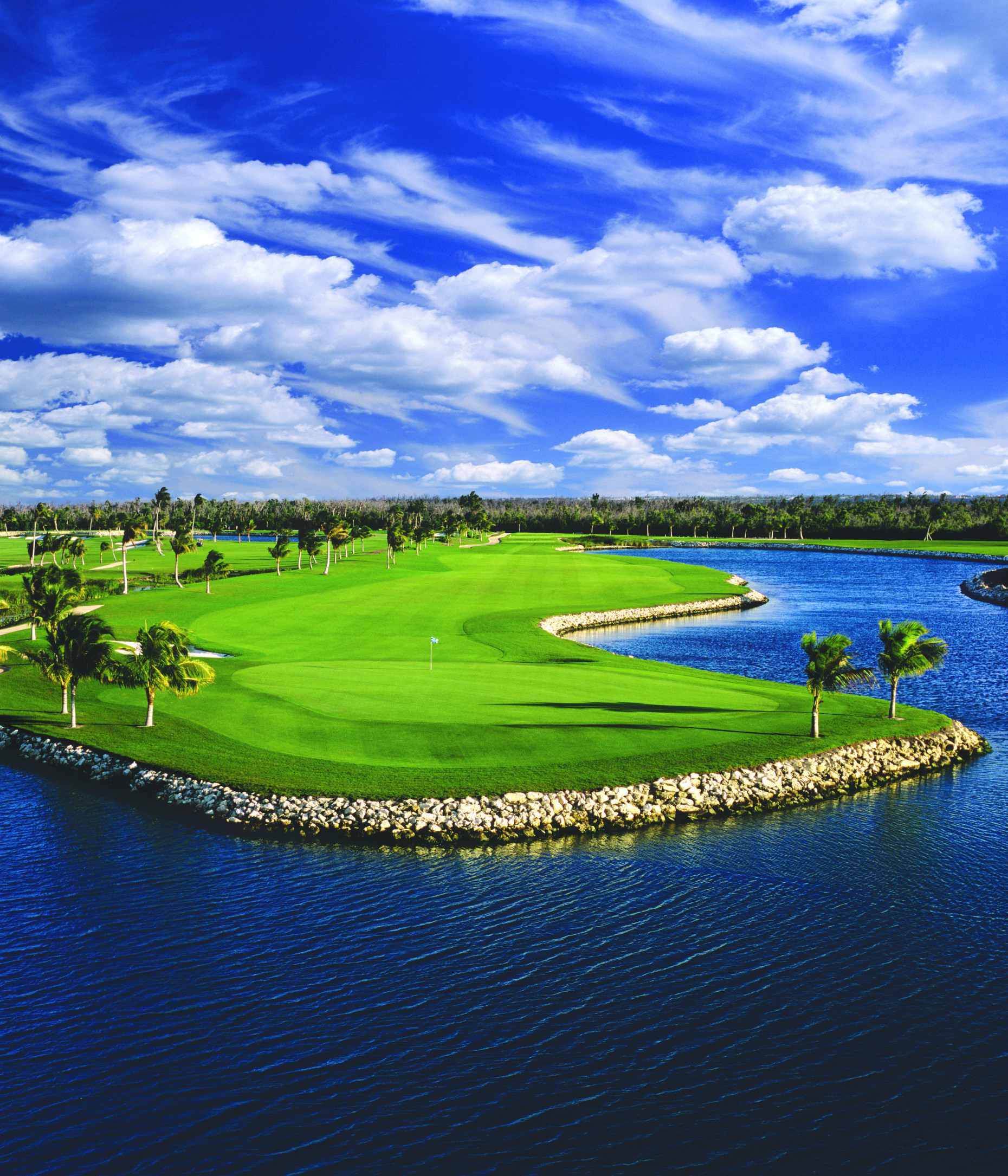 Ritz-carlton Private Residence #608 North Tower