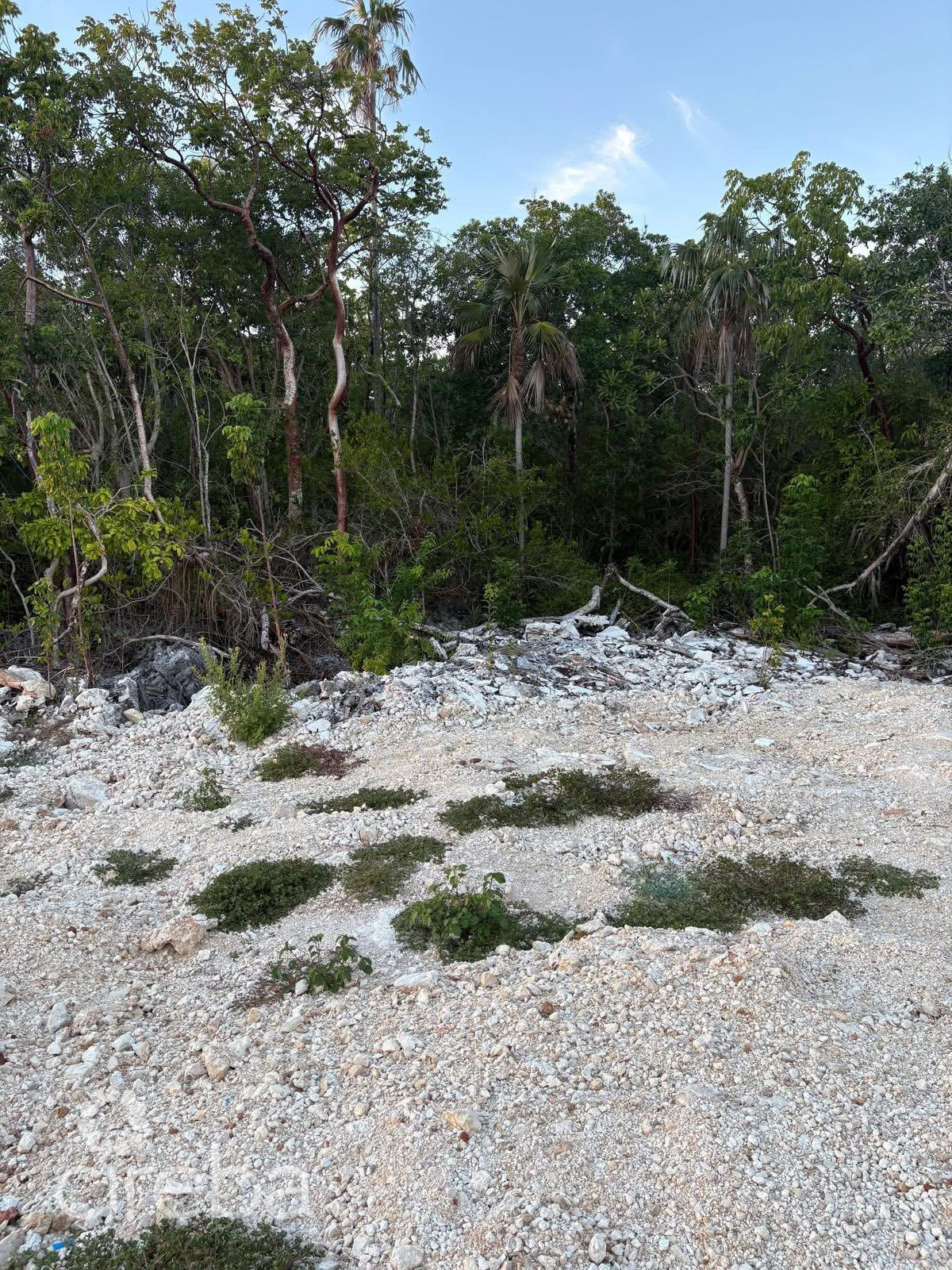 EAST END LAND PARCEL