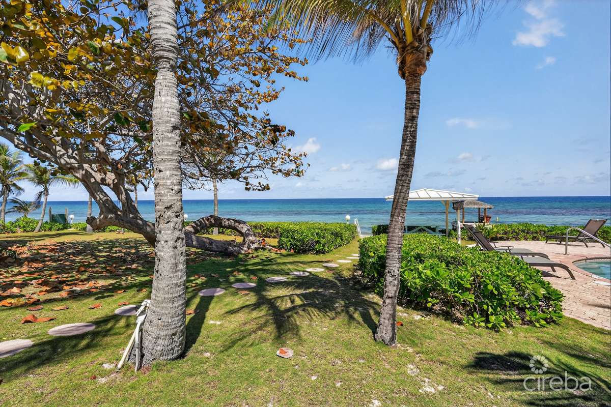 NORTHERN LIGHTS BEACHFRONT