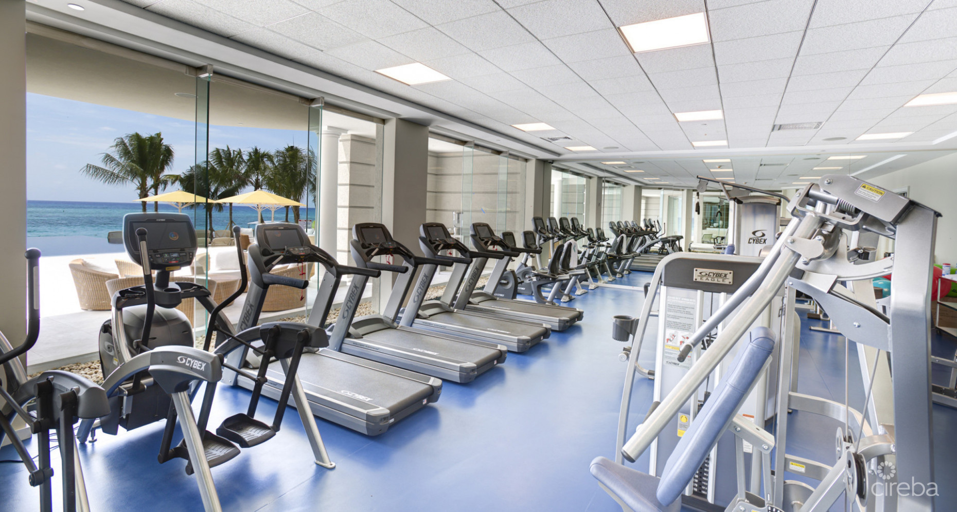 WATERCOLOURS - PRIME LOCATION