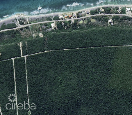 PREMIUM ELEVATED LOT IN THE HEART OF CAYMAN BRAC