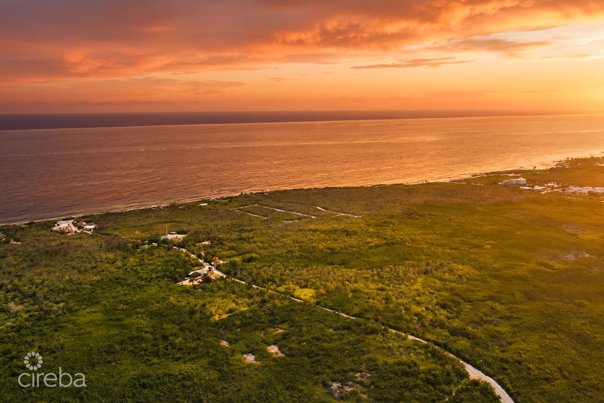 100 ACRES HIGH ROCK LAND