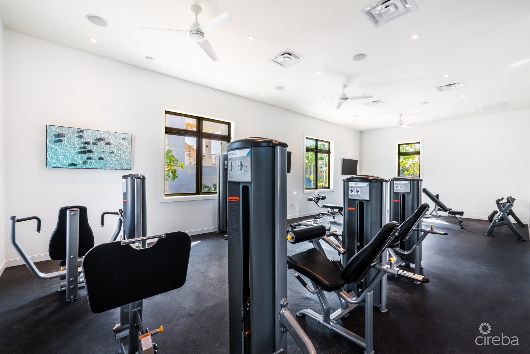 OLEA 117, CANAL FRONT TOWNHOME