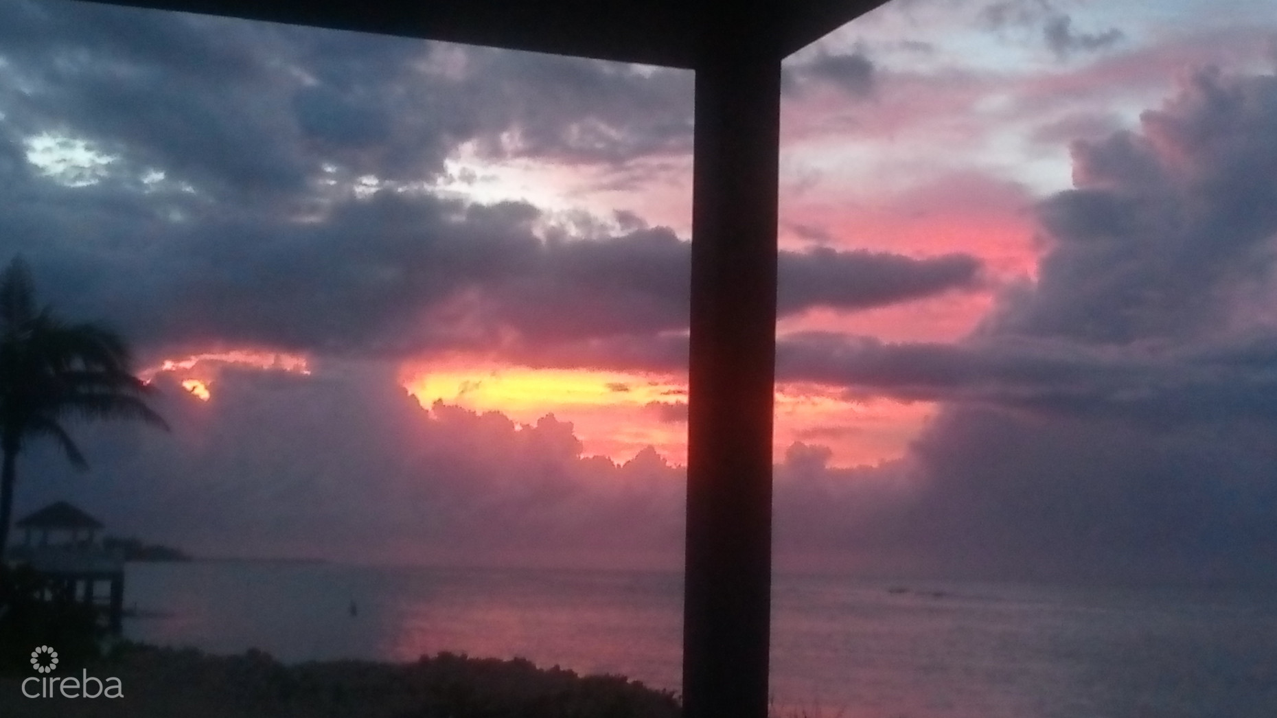 VIDA VISTAS