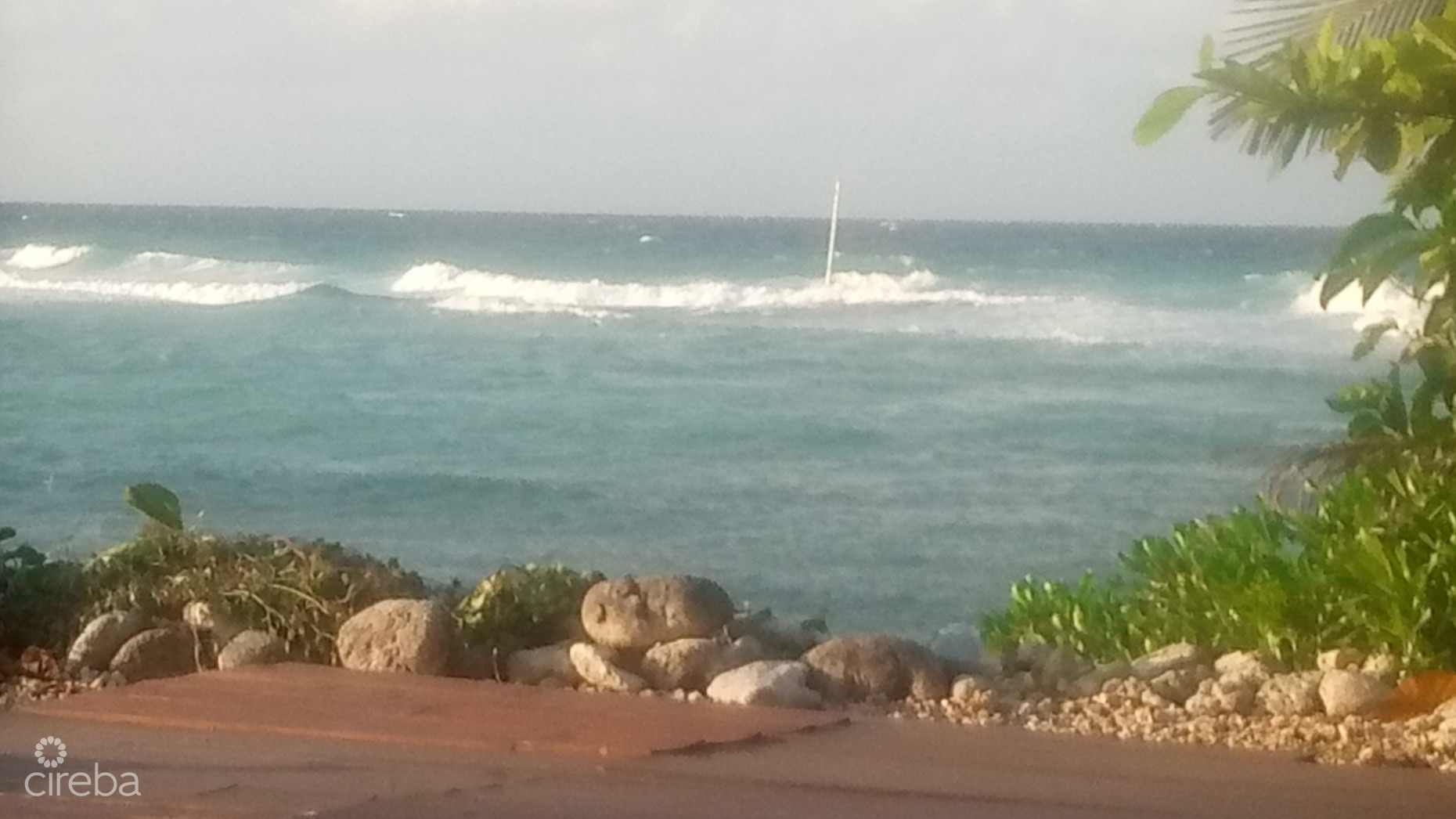 VIDA VISTAS