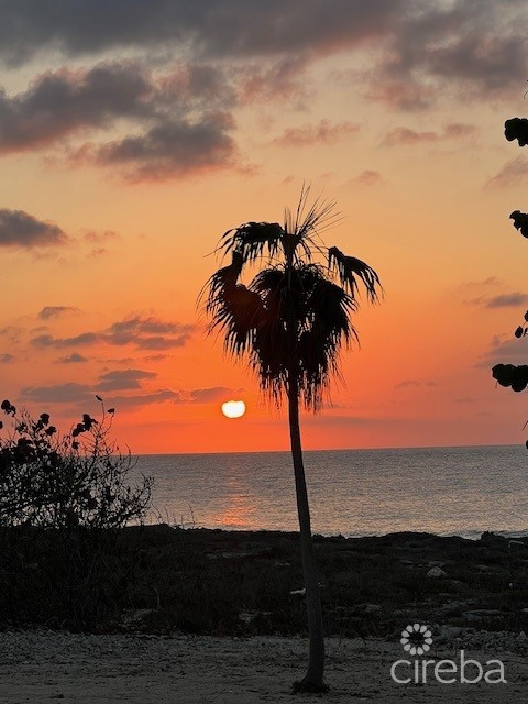 HISTORIC HOME - 3 ACRES OCEAN FRONT