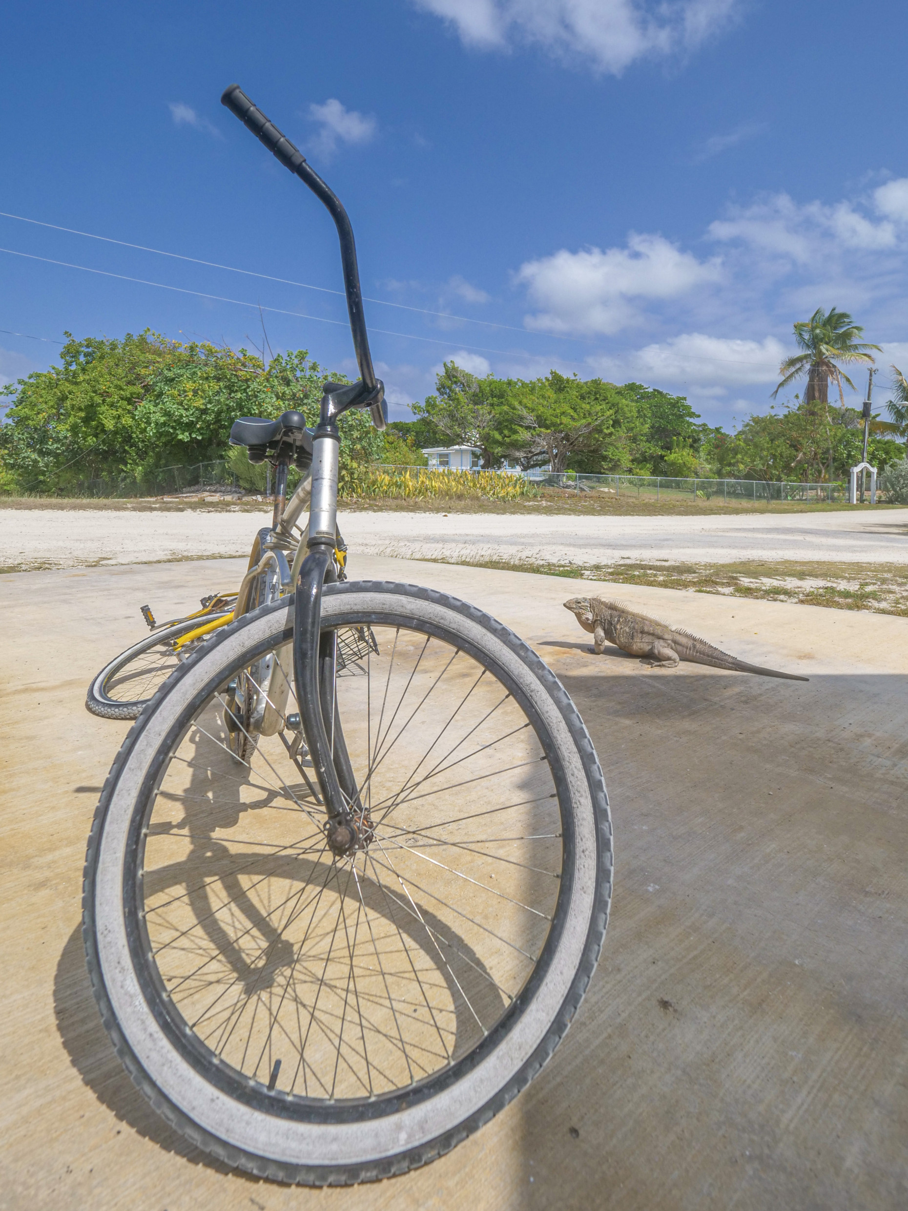 LITTLE CAYMAN LAND 2.5 ACRES - BY AIRPORT