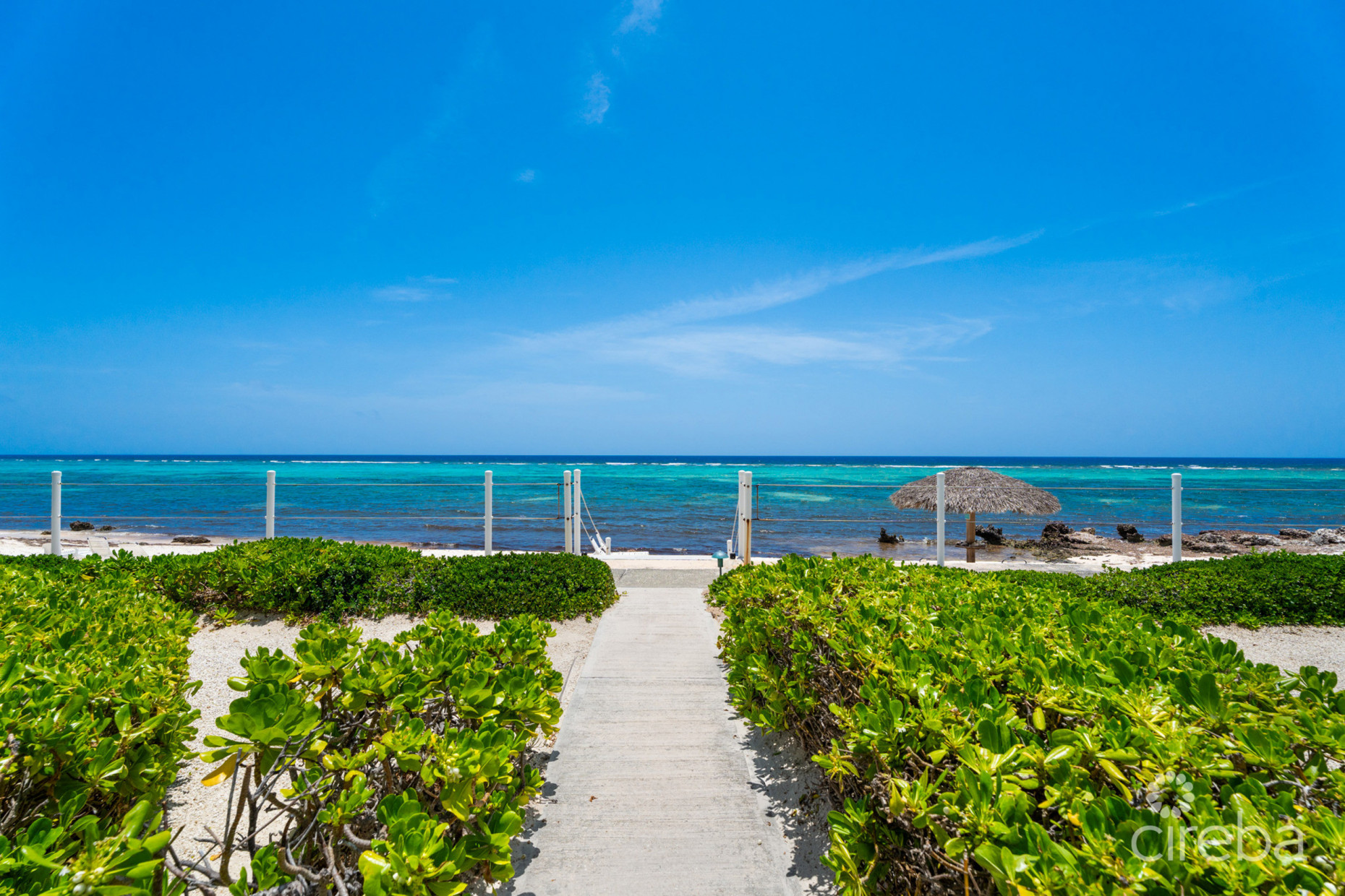 CAYMAN KAI SEA LODGE #13 BEACHFRONT CONDO WITH IMPRESSIVE RENTAL HISTORY