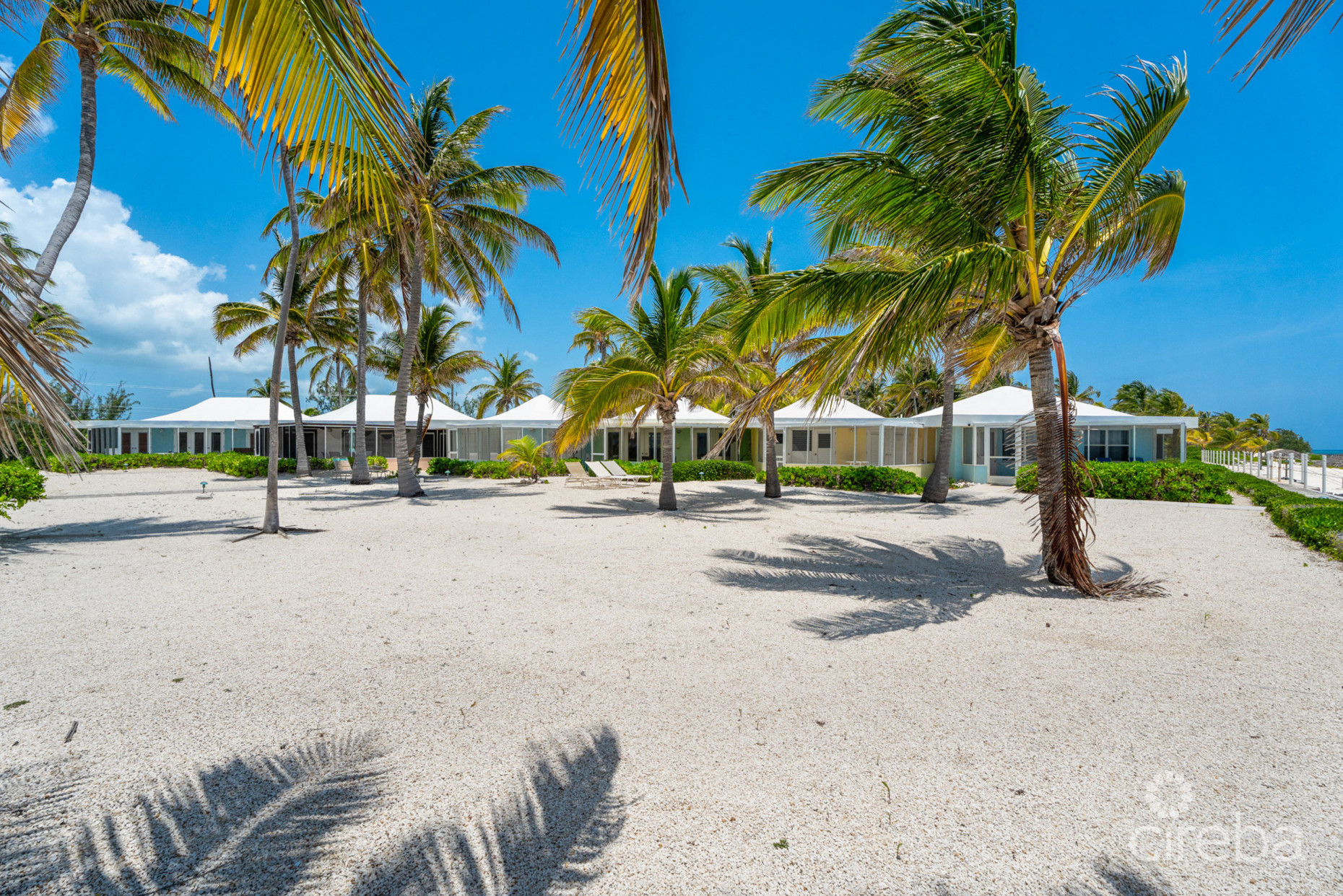 CAYMAN KAI SEA LODGE #13 BEACHFRONT CONDO WITH IMPRESSIVE RENTAL HISTORY
