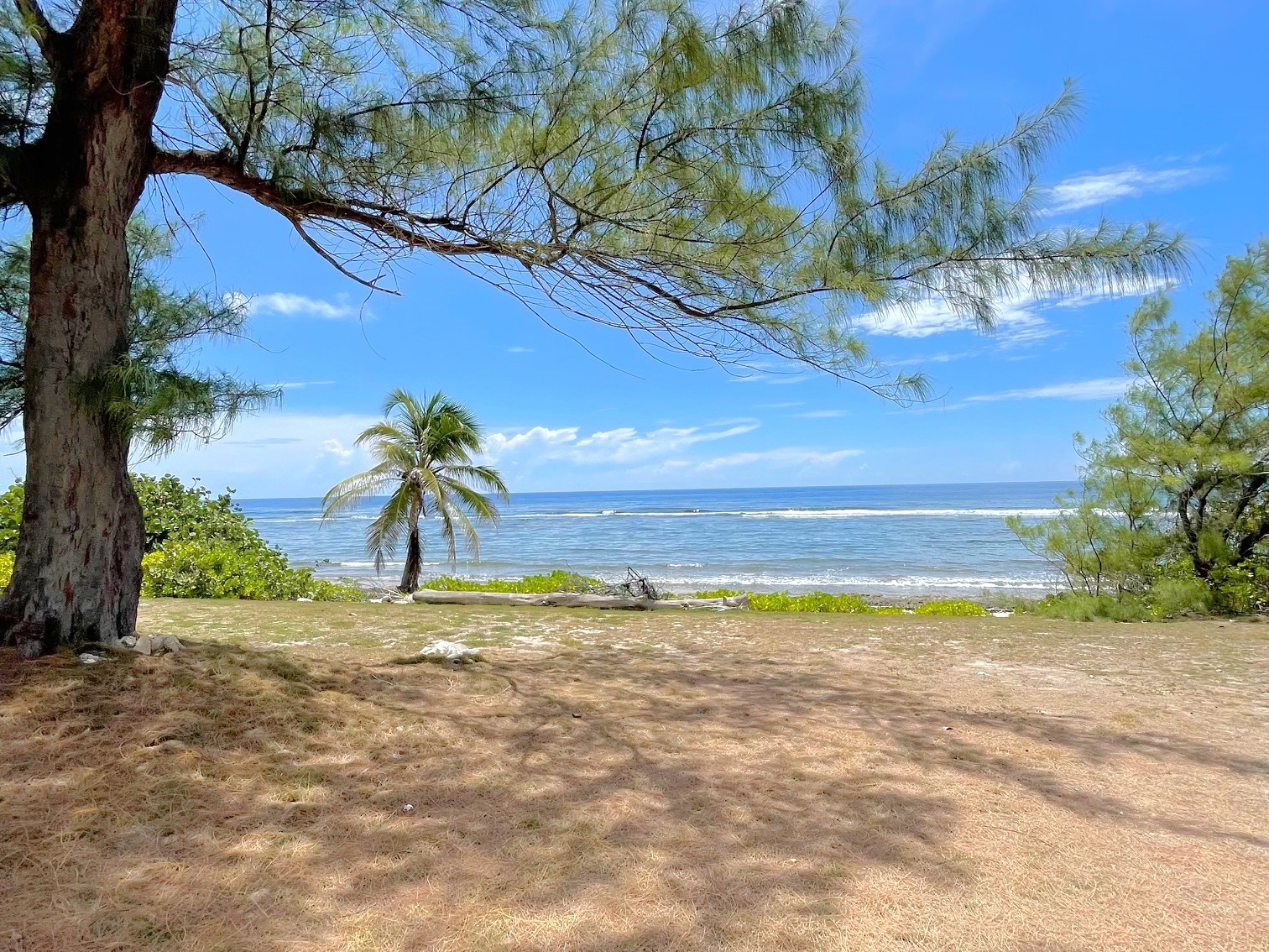 Manse Road - Oceanfront Home