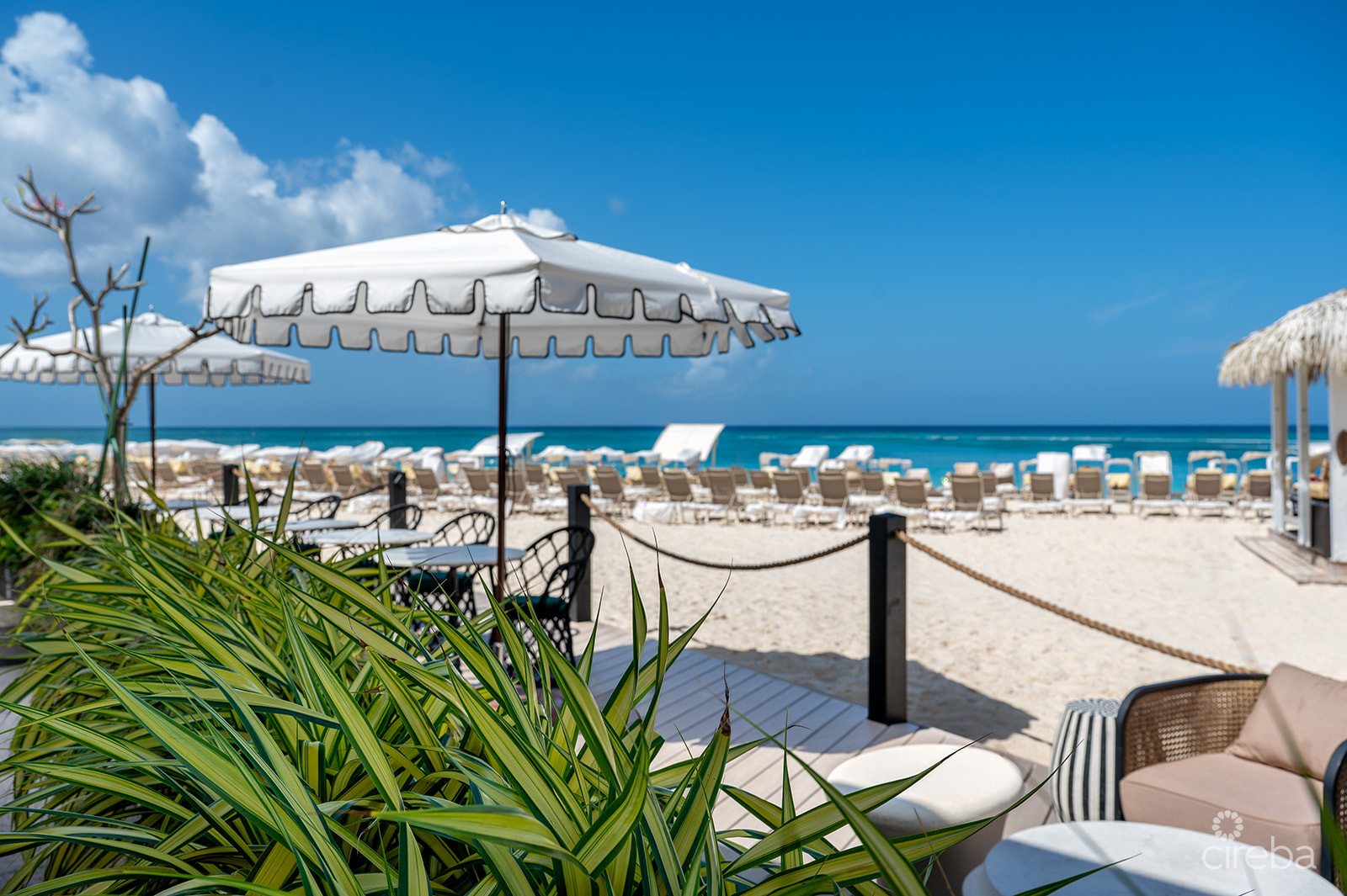 RITZ CARLTON RESIDENCE 408