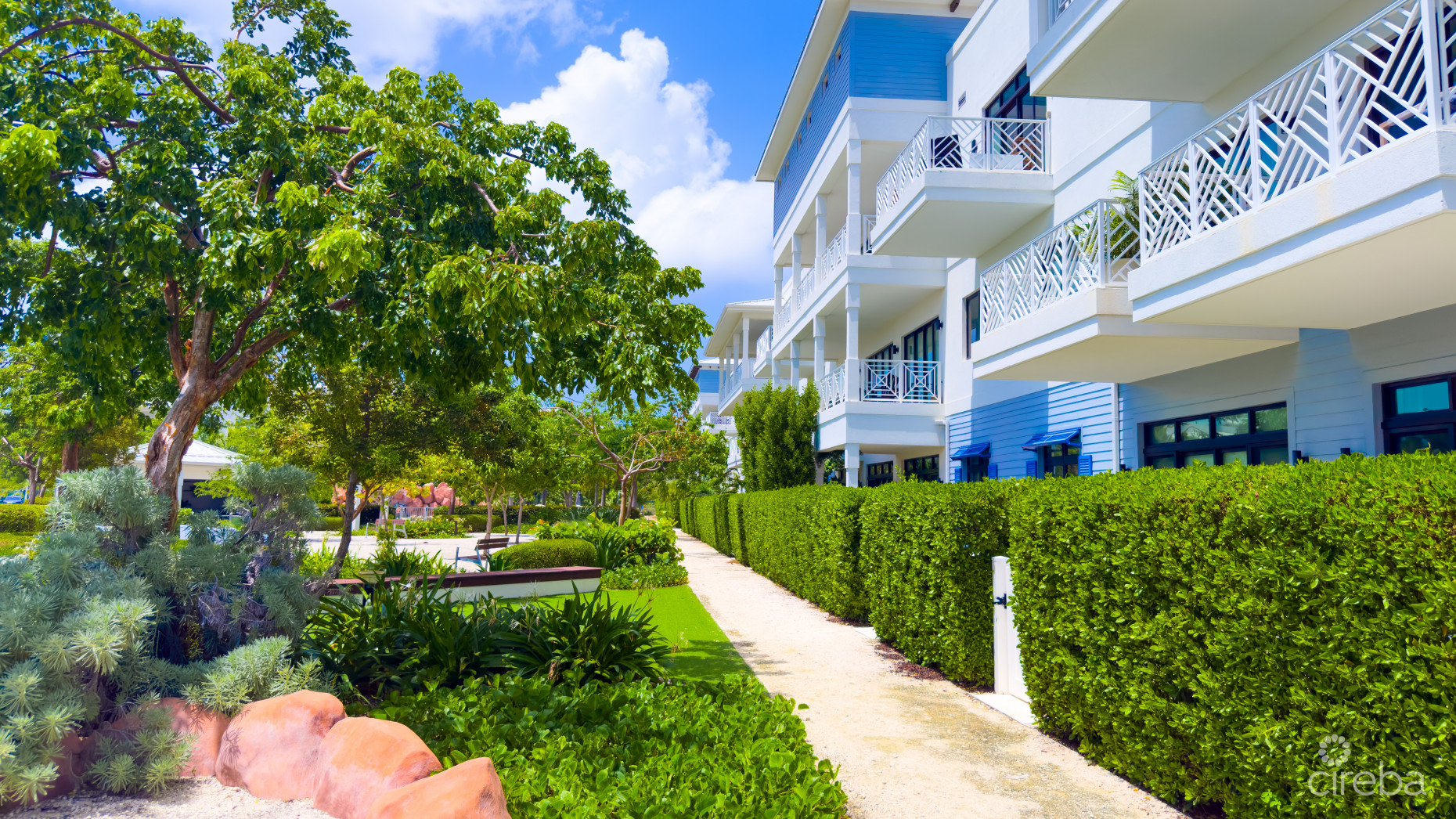 OLEA - 2 BED CORNER CONDO